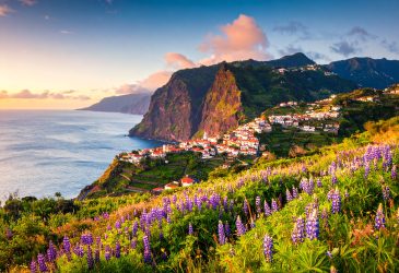 Rundreise Madeira 2025: Auf Entdeckungstour im Atlantik