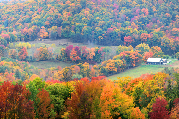 Scenic rural Vermont landscape in foliage season