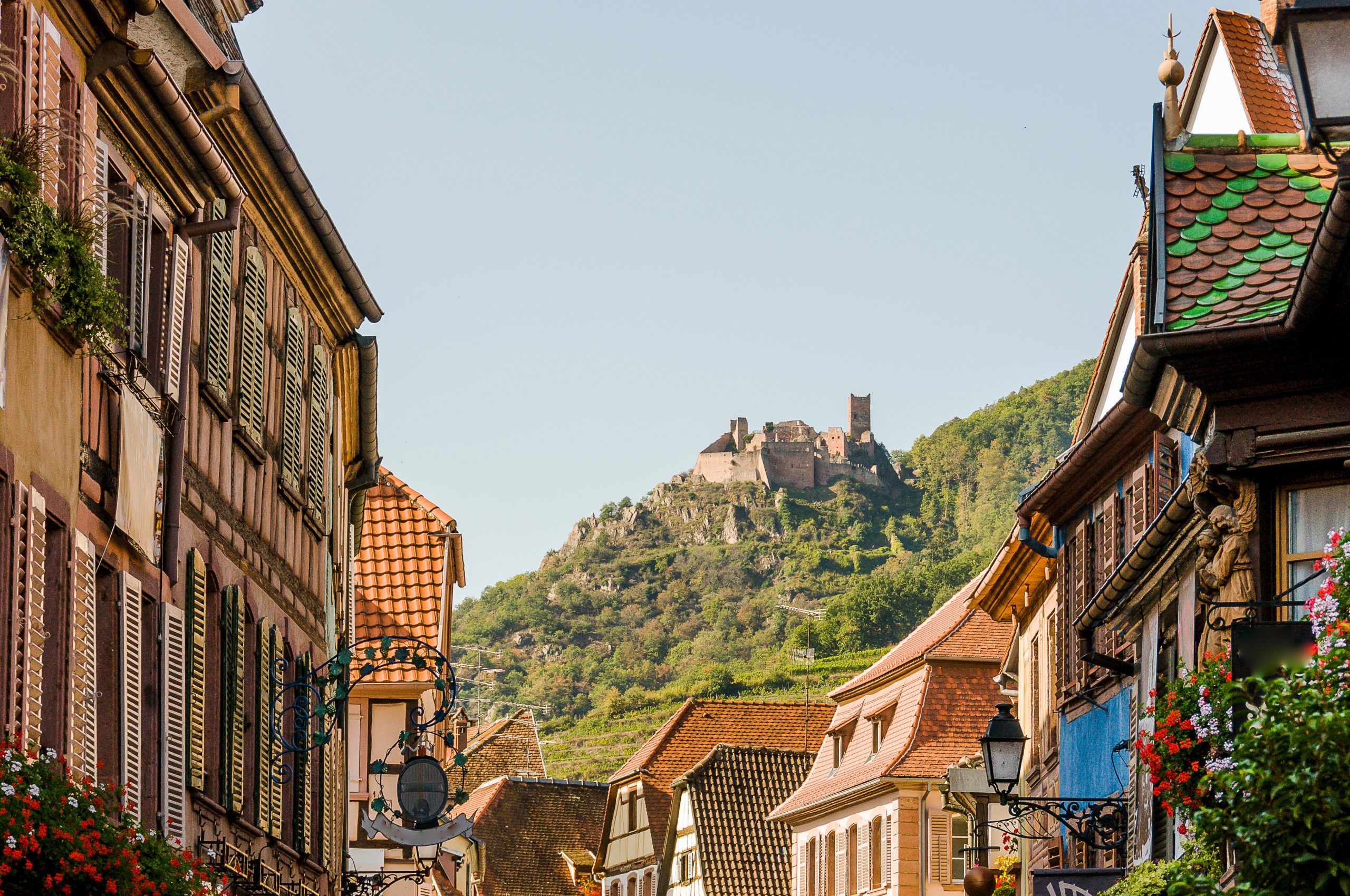 Ribeauvillé, Weindorf, Weinstrasse, Burgen, Ruinen, Wehrburgen, Schlösser, Elsass, Haut-Rhin, Grand Est, Weinberge, Herbst, Frankreich