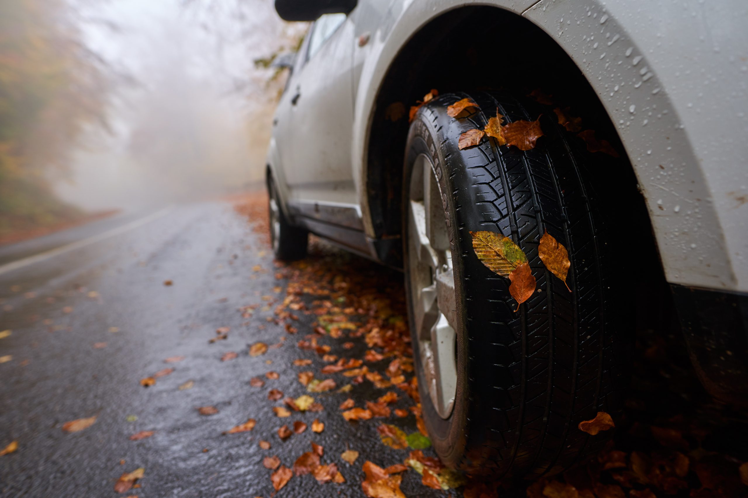 Car on a road in the autumn