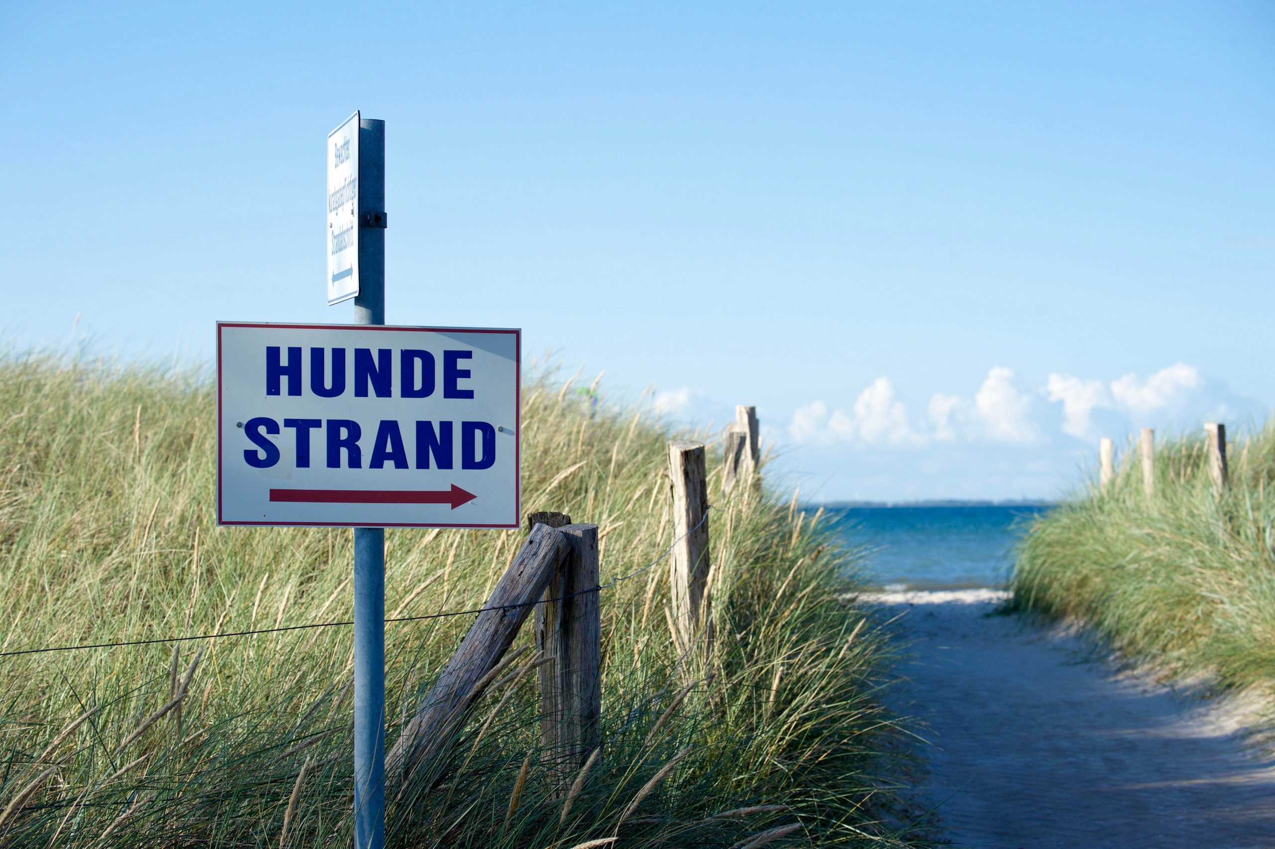 Hundestrand an der Ostsee