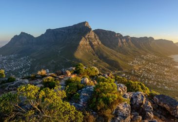 Südafrika Rundreise mit Mietwagen: Auf Traumstraßen zwischen Küste, Safari und Freiheit