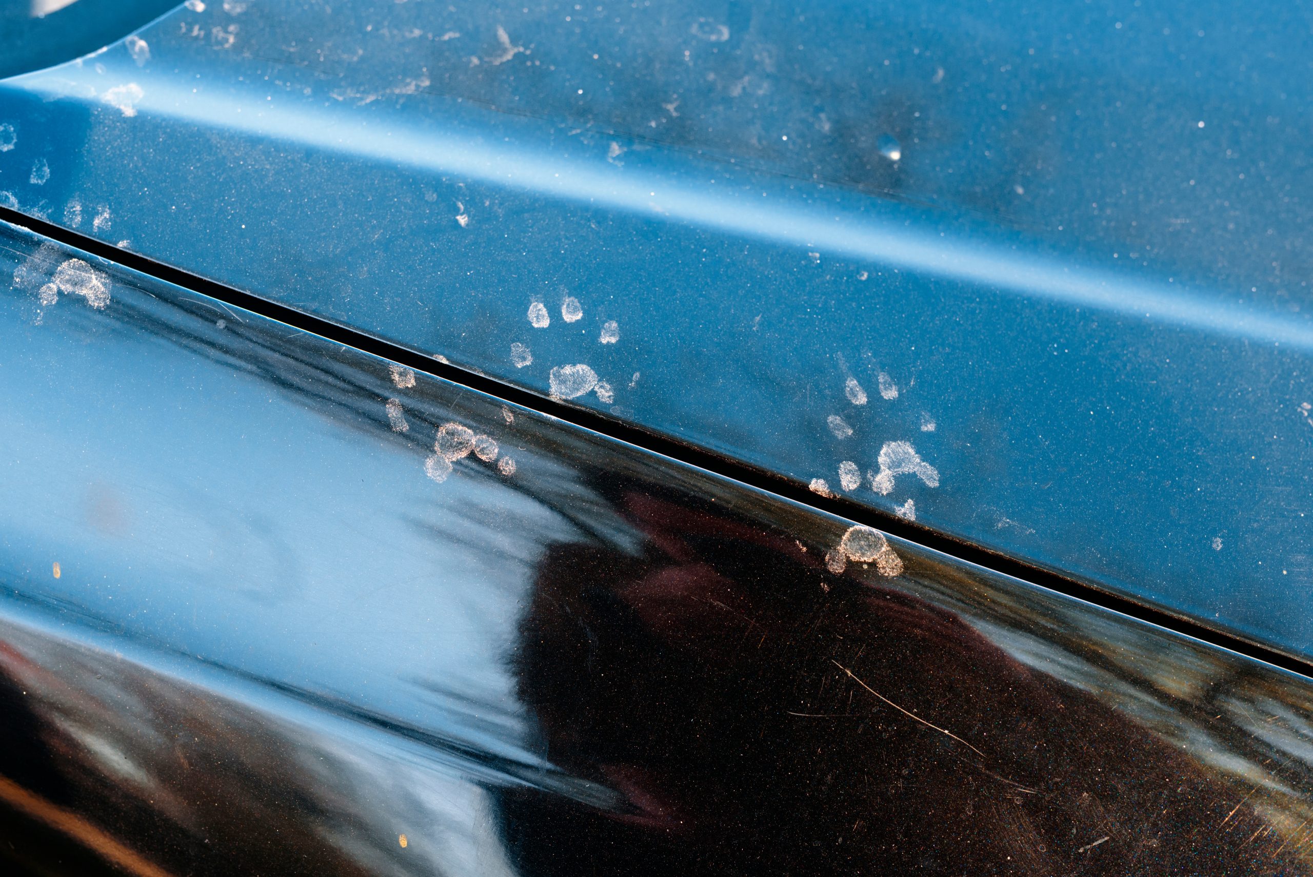 Animal footprints on a dirty car. Cats or martens can chew the wire in the car.