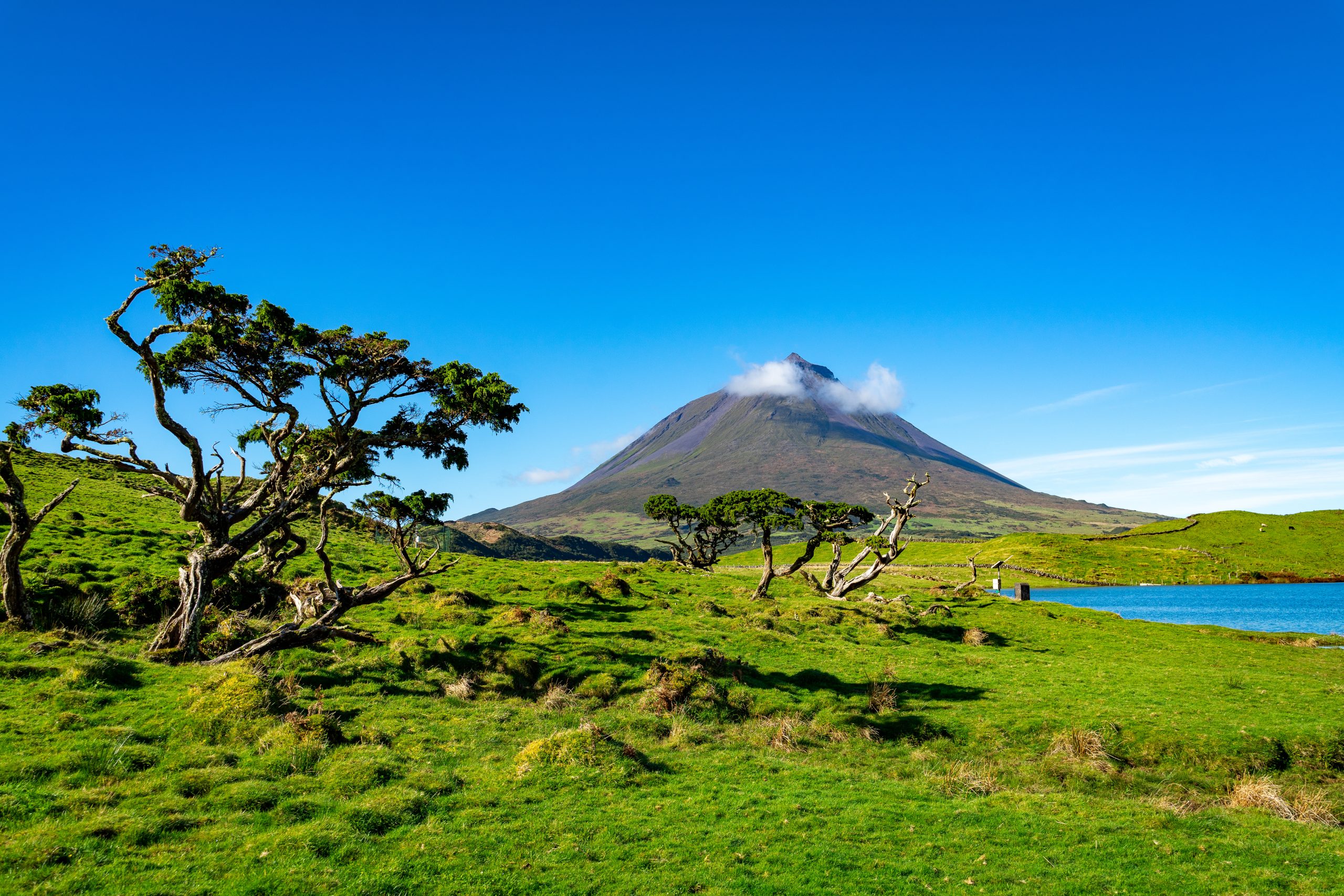 Azoren Sao Miguel Portugal Atlantischer Ozean Ponta Delgada