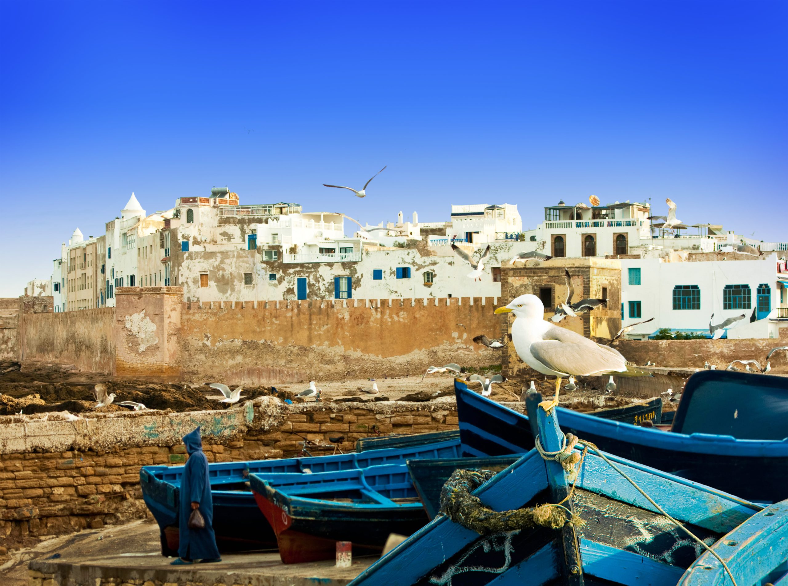 Blue fishing boats on an ocean coast in Essaouira, Morocco
