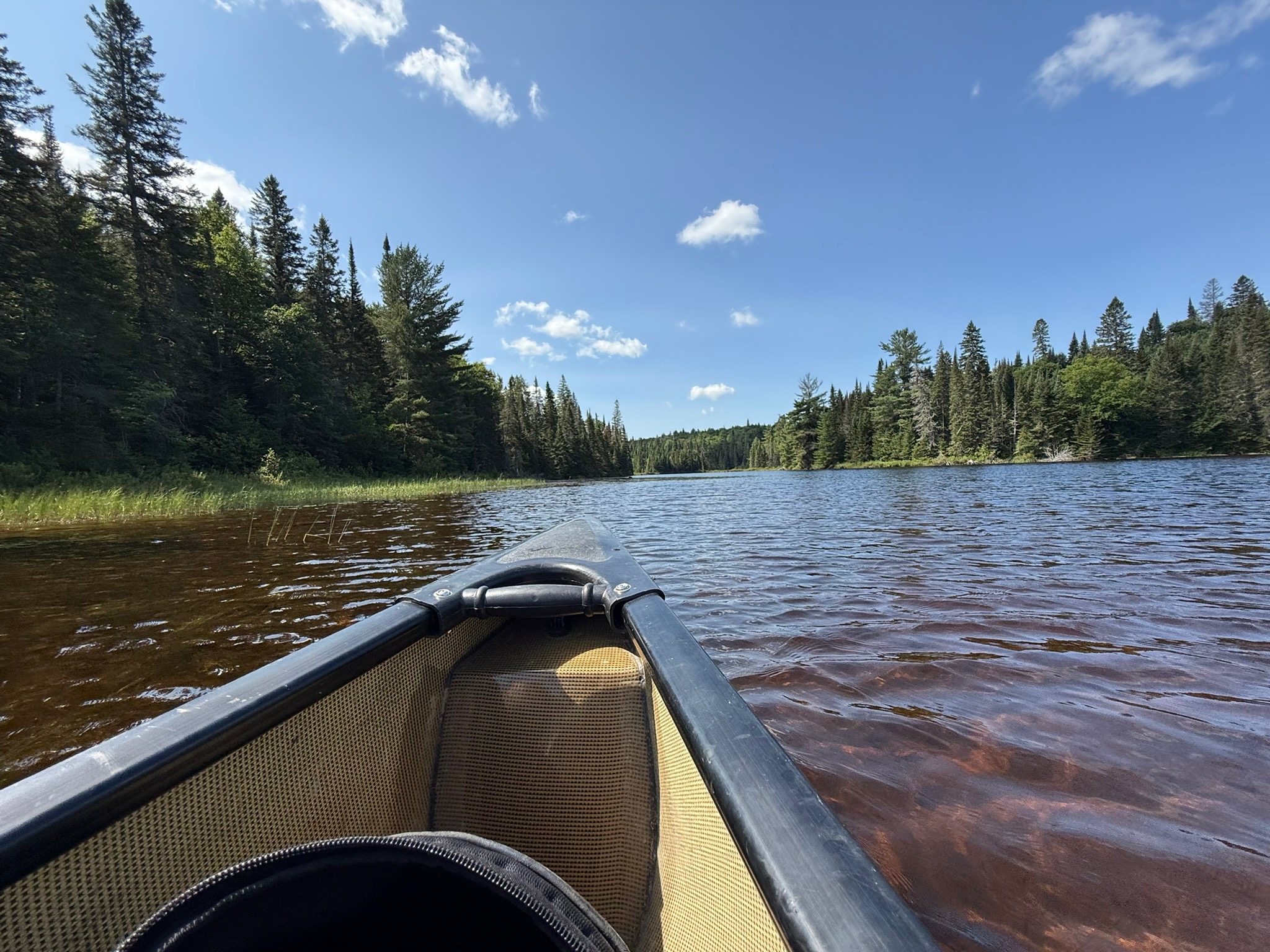 Alqonquin Provincial Park_DanyBucher