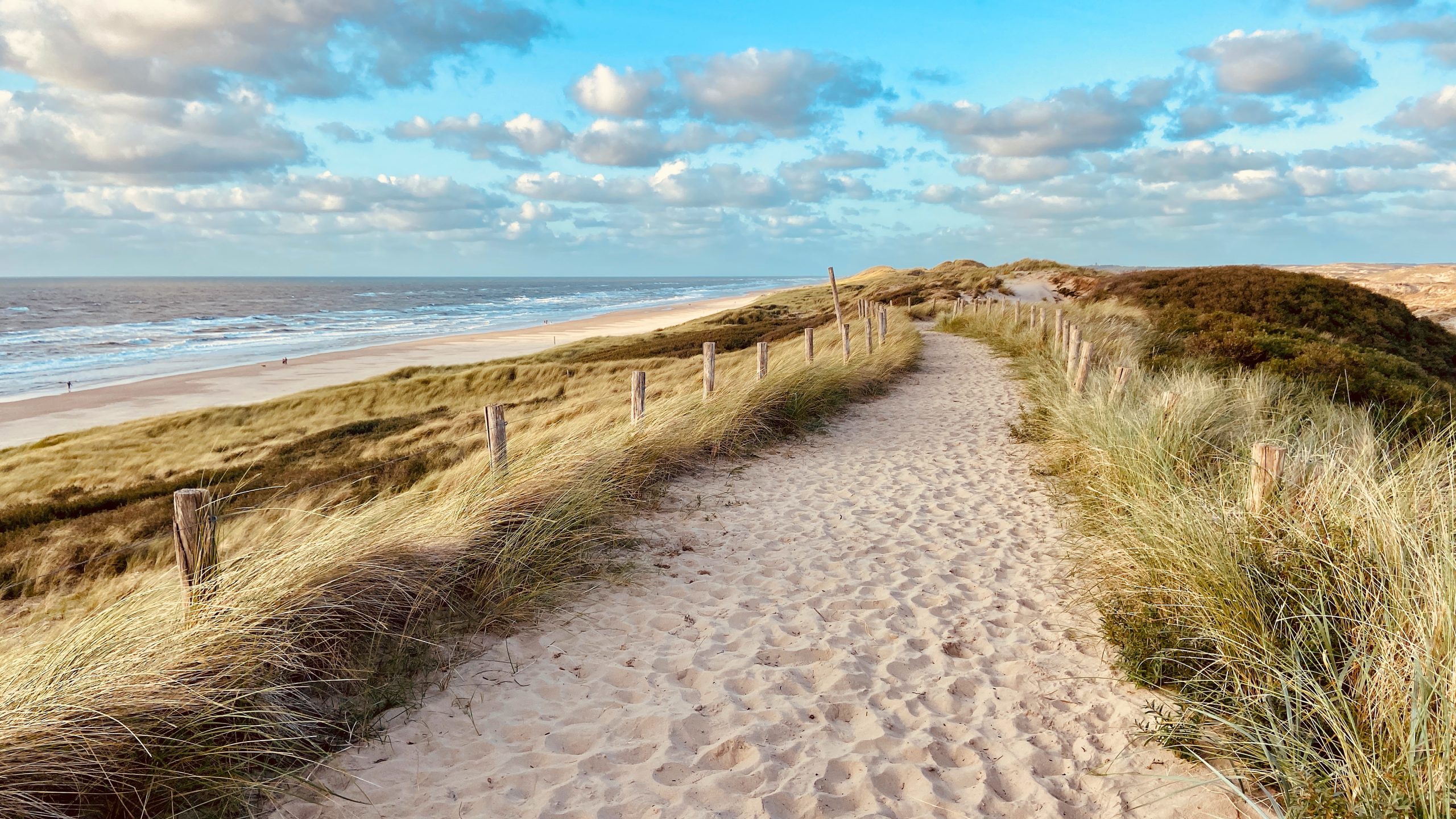 Dunes of Egmond aan Zee (Schoorlse Duinen) on the Dutch North Sea. Egmond aan Zee, the Netherlands, Europe.