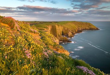 Irland Roadtrip: Die schönste Route und Geheimtipps für dein Abenteuer