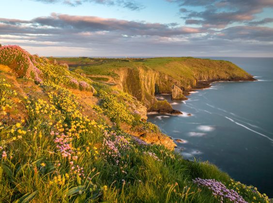 Irland Roadtrip: Die schönste Route und Geheimtipps für dein Abenteuer