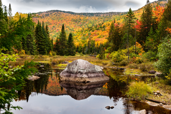 Ein ruhiger See in Kanada spiegelt einen großen Felsen und die bunten Herbstfarben der umliegenden Wälder und Hügel wider