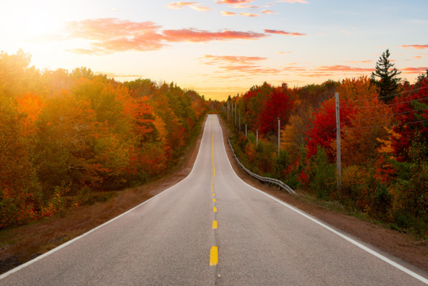 Eine Straße in Maine führt durch farbenfrohe Herbstwälder und verschwindet am Horizont in der Abendsonne