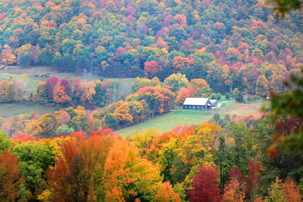 Bunte Herbstwälder in Vermont umgeben ein einzelnes Haus in einer sanften Hügellandschaft.